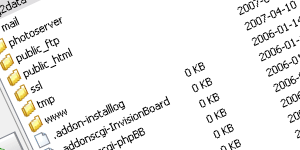 cPanel-3